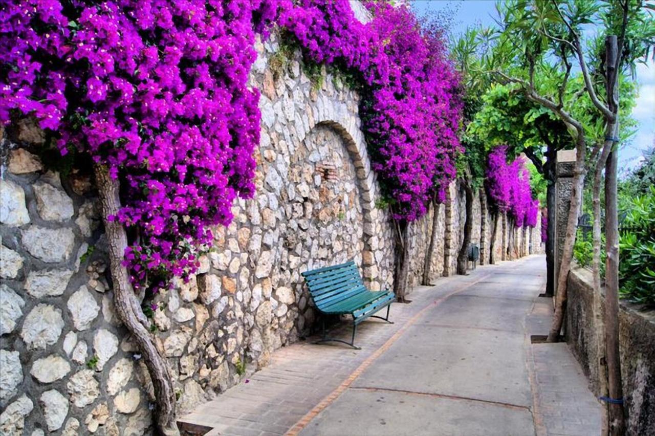 Il Dolce Rifugio Apartamento Sorrento Exterior foto